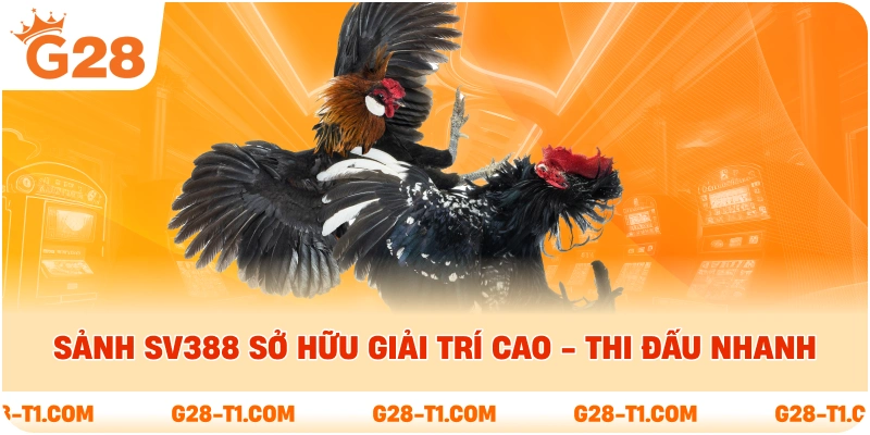 Sảnh SV388 sở hữu giải trí cao - thi đấu nhanh